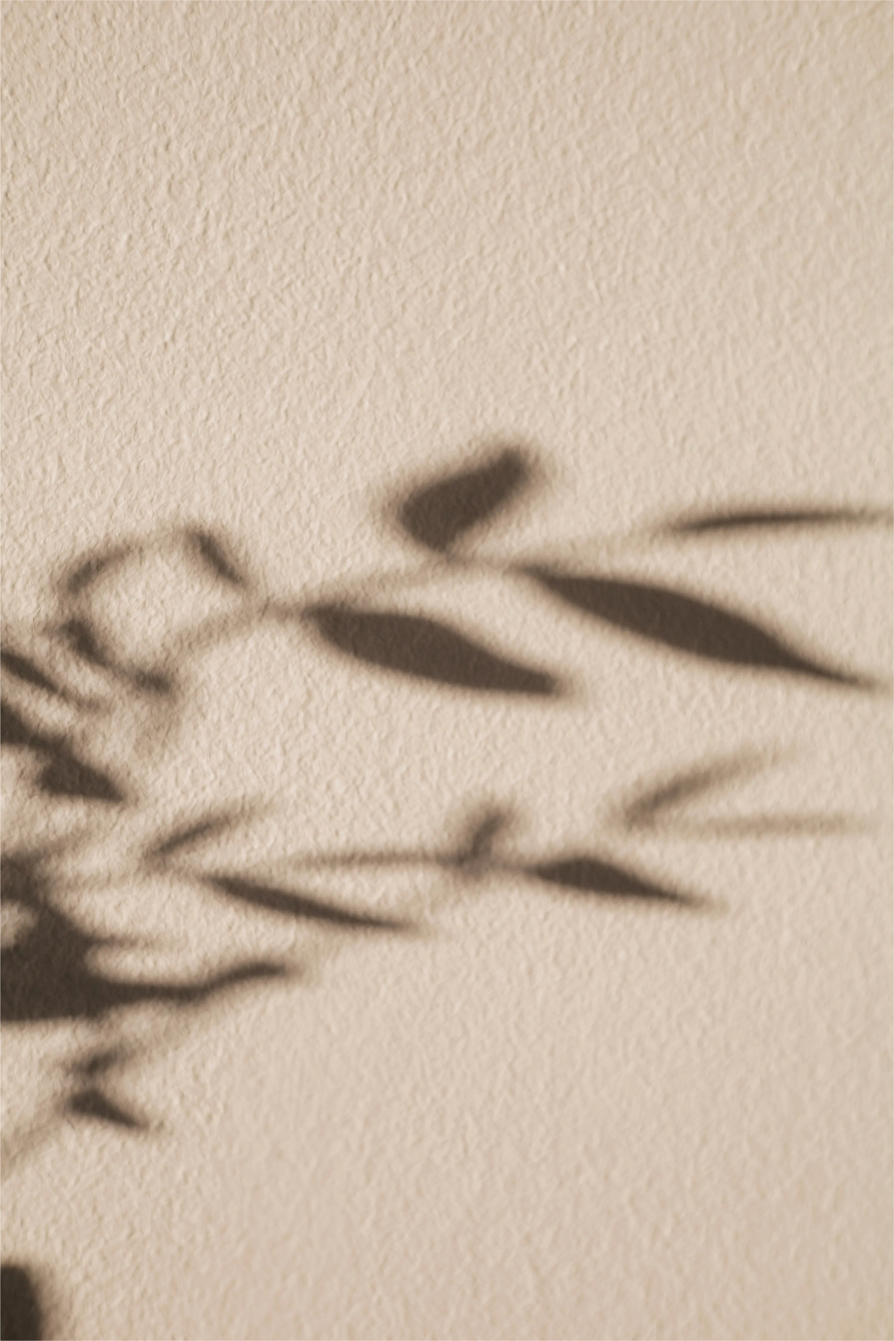 MJ Interior Design Atmosphäre – Licht und Schatten