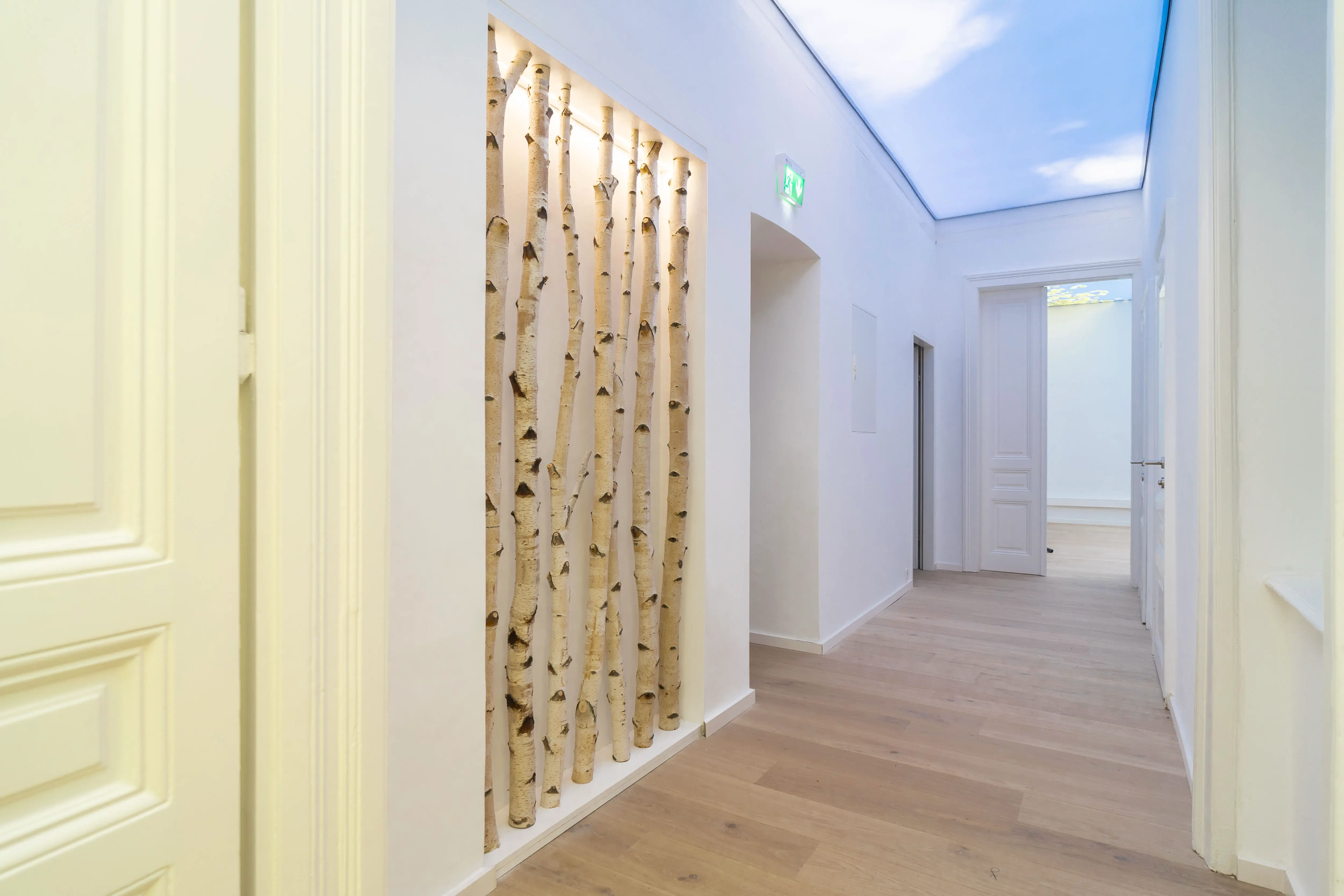 Flurbereich mit Birkenstamm-Wandgestaltung, hellem Holzboden und minimalistischer Beleuchtung.